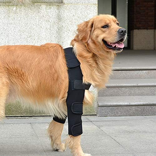 סד למשכן לחיות מחמד, מגיני ברכיים,גלישת רגליים לקרסול כלב, מגן רגליים לכלבים עזר לשחזור דלקת פרקים, להגנה מפני
