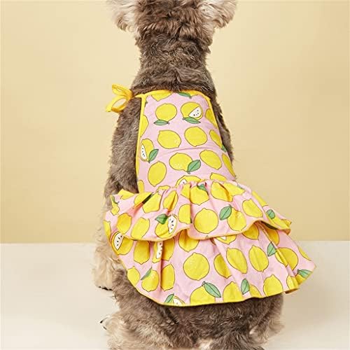 הוקאי כלב חצאית פירות הדפסת בגדים לחיות מחמד שמלת מתוק אביב קיץ קיץ ציוד לחיות מחמד