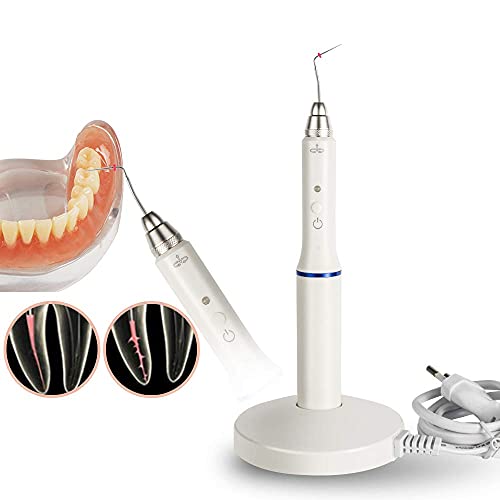 מערכת השבשה של גוטה פרצ'ה עם 2 טיפים, עט שיניים עם שיניים עם בסיס טעינה שיניים אלחוטיות עט מחוממות