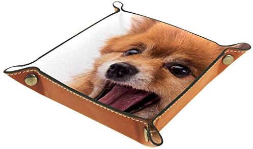 כלב מקסים פתיחת פה מארגן שמח מגש אחסון קופסת מיטה מיטה קאדי שולחן עבודה מגש החלפת ארנק מפתח