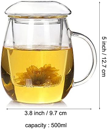 כוס תה זכוכית, ספל תה צלול עם מכסה וסל אינפוז'ר, כוס תה כוס תה מושלם בבורוסיליקט, קל לשימוש, לשימוש