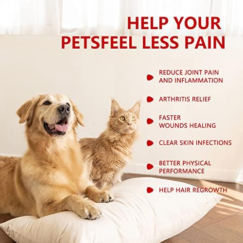 טיפול באור אדום של BestQool לכלבים וחיות מחמד, קרוב לטיפול באור אינפרא אדום להקלה על כאבים, כאבי