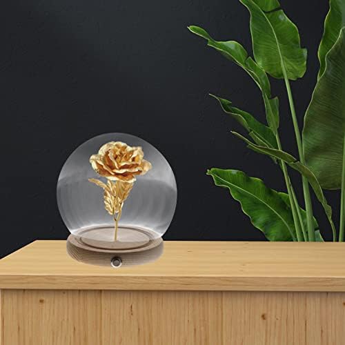 עיצוב הבית של פטקאו, כיפת זכוכית צלולה קלוש עם בסיס עץ כפרי LED LED צנצנת פעמון עתיקה כיפת תצוגת בשרנית שמירת