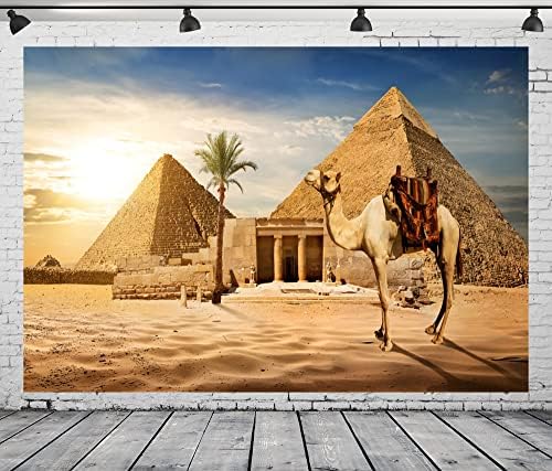בלקו 20 על 10 רגל בד מצרים פירמידות רקע צילום מצרי עתיק פירמידת גמל רקע גיזה מדבר סצנה קוקוס