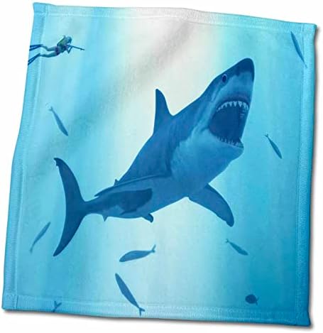 3 דרוז פלורן בעלי חיים מתחת למים - כריש לבן נהדר - מגבות