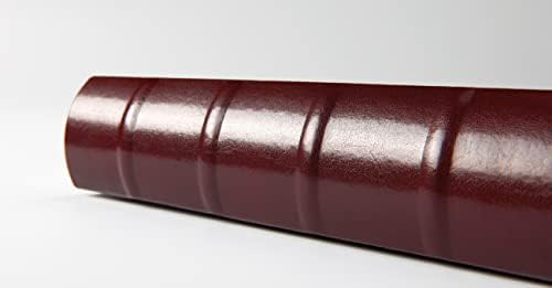 וולטר עיצוב FA-371-R קלאסי עור מלאכותי אלבום כבול עם עמוד שדרה רוכסן, 10.2 x 9.8 אינץ ', 60 דפים לבנים, אדום