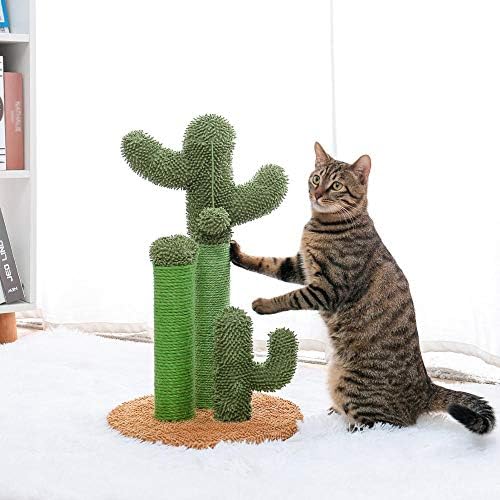 SCDCWW חמוד קקטוס חטיבת חיות מחמד צעצועים עם עמודי מגרד בכדור לחתולים חתולים מטפסים על חתולי עץ צעצוע