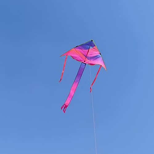 Kaidenic 2 Pack עפיפונים בענן דלתא קשת עפיפון פרפר כחול עם זנבות ארוכים קל לעוף עם קווים מעופפים