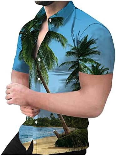 פרוסטלואיני גברים שרוול קצר חולצות הוואי קיץ כפתור מזדמן גרפי טרופי למטה