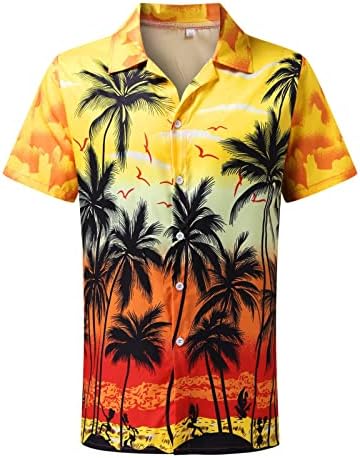 חולצה הוואי לגברים חולצות חוף קיץ לגברים בכושר רגיל עם שרוול קצר חולצה מזדמנת