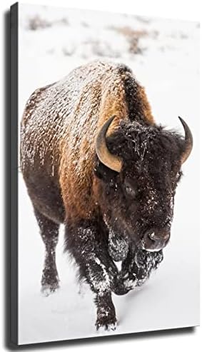 אמריקאי באפלו בשלג מקורי בעלי החיים פוסטר מקרוב תמונה חיות בר יצירות אמנות קישוט בד אמנות פוסטר קיר אמנות תמונה