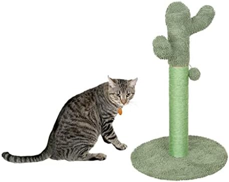 קקטוס חתול גרדן הודעה, עבור כל חתולים, עבור מקורה חתולי טופר גרדן, עם פלאפי ירוק מתנדנד כדור