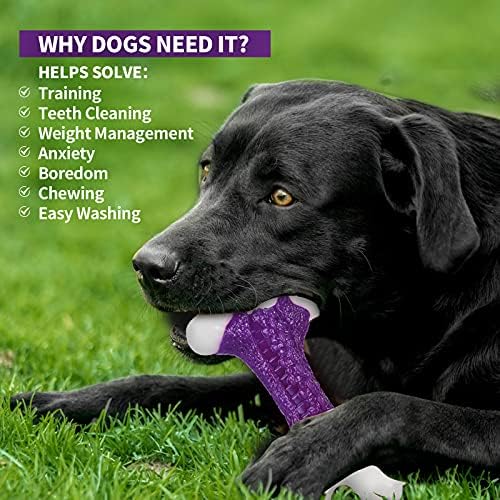 צעצועים לעיסת כלבים קשוחים לעיסות אגרסיביות גזע בינוני גדול, צעצוע כלב עצם עמיד עצם עמיד לכלב גדול, צעצועים