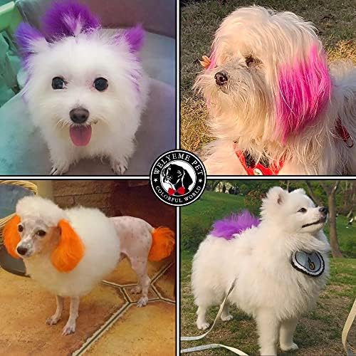 צבע שיער של כלב/חיית מחמד צבע קשת, צבע שיער כלב/חתול צבע צבע, צבע פרווה בטוח לא רעיל, ערכת צבע קבוע