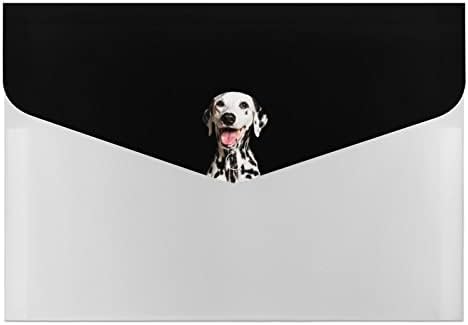סמינג כלב דלמטי הדפסת הרחבת קובץ תיקיית עם 6 כיס מכתב גודל נייד מסמך נייר ארגונית 13 איקס 9