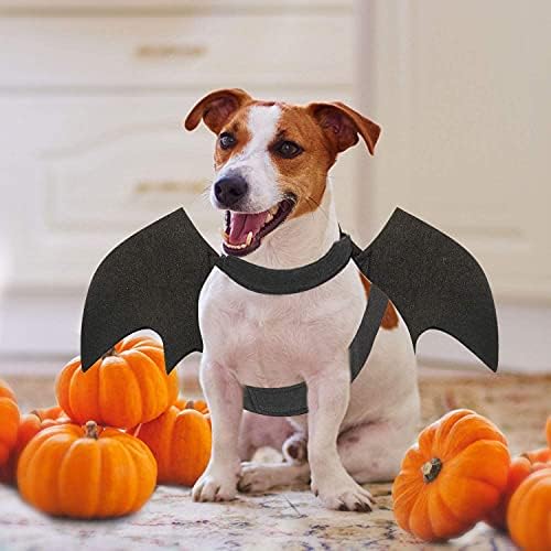 תחפושת עטלף כלבים, תלבושת חיית מחמד ליל כל הקדושים כנפי עטלף קוספליי כלב גדול לאביזרים למסיבה