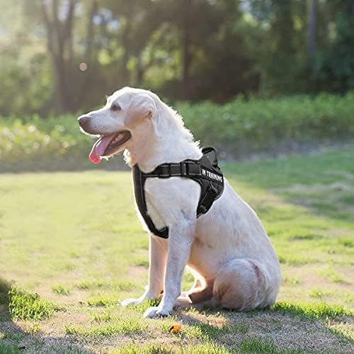 רתמת כלבים בהתאמה אישית תגי טלפון עם תיקון מותאם אישית, ללא אפיית מחמד משיכה בקרה קלה לאימוני הליכה עבור
