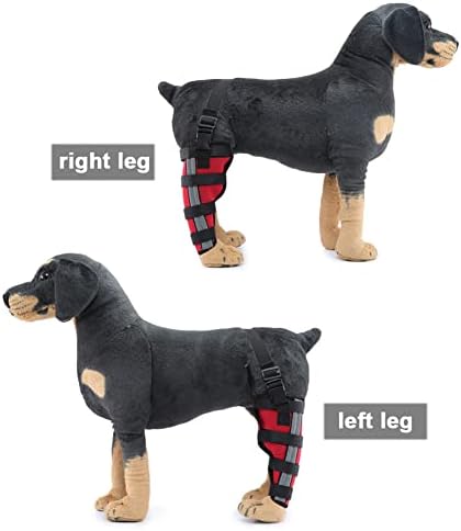 רגל אחורית, כלב אחורי רגל סד משותף לעטוף עבור עבור פציעה, פיקת הברך לוקסציה, דלקת פרקים, מתכוונן הברך סד רגל תמיכה