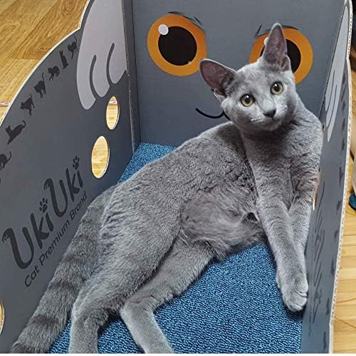 אוקיוקי חתול פנים שטיח קרטון גרדן-עשה זאת בעצמך הטוב ביותר חמוד חתולים מגרדים ורהיטים )