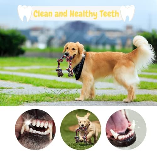 צעצוע של חבל כלבים של סוונגוזה - צעצועים לעיסת כלבים לכלבי גזע בינוניים עד גדולים - לברדור - רועה