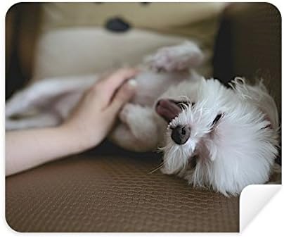 לבן כלב חיות מחמד בעלי החיים חמוד תמונה ניקוי בד מסך מנקה 2 יחידות זמש בד