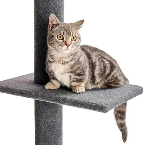 עץ חתול Volowoo, מבני מגדל טיפוס על חתולים 3 שכבות, עץ חתול לחתול מהרצפה עד התקרה עץ טיפוס בגובה 9 מטרים, מרכז