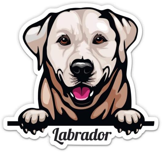 מדבקת Labrador Retriever - מדבקת מחשב נייד 3 - ויניל אטום למים לרכב, טלפון, בקבוק מים - מדבקות