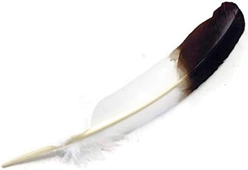 זמיהאלה 10-12 אינץ 25-30 סמ צבוע טורקיה כנף נוצת נוצה שחור הטה חיקוי נשר נוצות עבור מלאכות חתונה קישוט