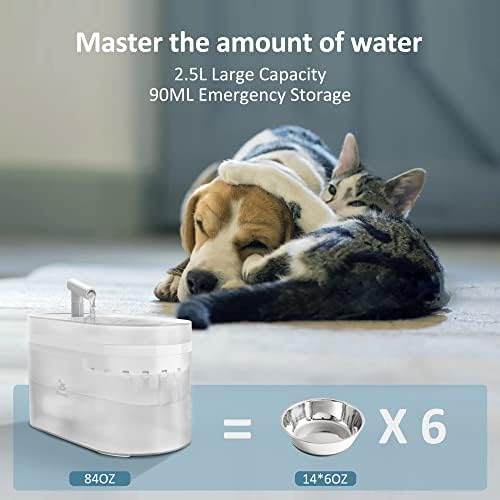 מזרקת מי חתול פטורי - מזרקת מים לחיות מחמד לחתולים בפנים, 84oz/2.5l מתקן מים לחתולים אוטומטיים