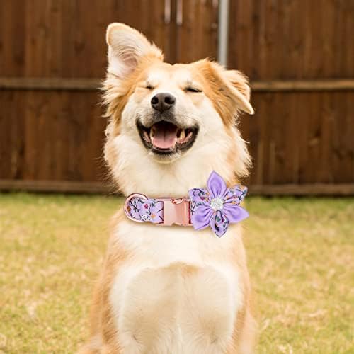 צווארון כלבים של נערת TDTOK לכלבים קטנים בינוניים גדולים, צווארון כלבים חמוד עם פרחים בטיחות פרחים אבזם מתכת