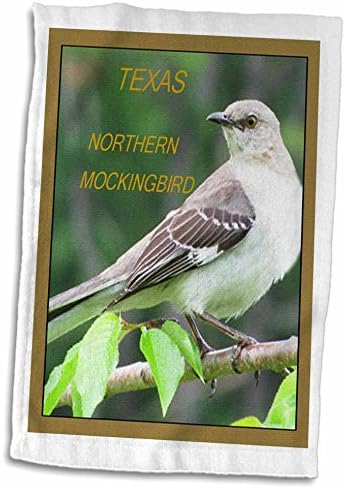 3drose ציפורי מדינת פלורן - ציפור מדינת טקסס צפון צפון Mockinbird - מגבות