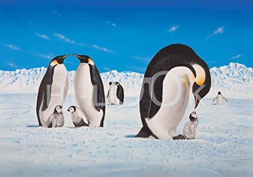 מטלית ניקוי מיקרופייבר היי -למראה - משפחת פינגווין