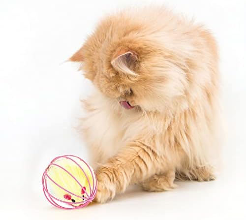 6 יחידות חתול צעצוע בכלוב חולדות מתגלגל חוט כלוב קטיפה עכבר כדור אינטראקטיבי כדור חתלתול מצחיק לתפוס צעצועי