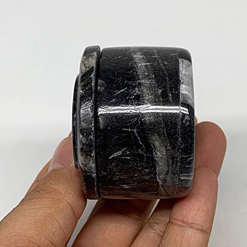 Watangems 125 גרם, 1.5 x 2 מאובנים שחורים אורתוצ'רס קופסת תכשיטים צורה עגולה בעבודת יד מלוטשת ממרוקו, מינרל, דגימות,