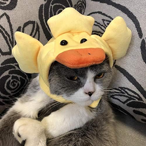 חיות מחמד כובע עבור חתול, נוח חתול תלבושות חתלתול צהוב ברווז עיצוב בארה ' ב