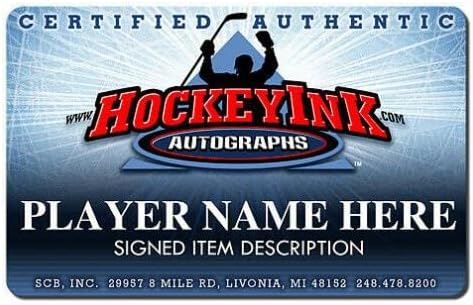ניקלס לידסטרום ורוברט לאנג חתמו על אולסטאר 16 x 20 צילום - 79002 - תמונות NHL עם חתימה