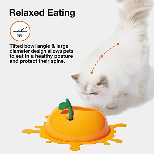 וטרסקה חתול מזון קערת חתול קערות עבור מזון מים מוטה גור חתול האכלת קערת להקל על זיף עייפות חתול קערות אנטי