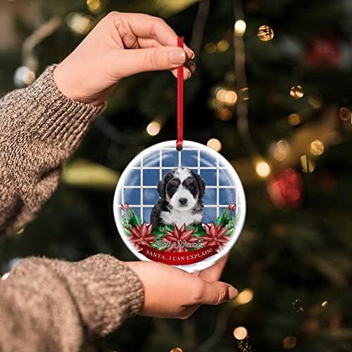 סנטה אני יכול להסביר בריטני כלב חג המולד אקריליק קישוט לחיות מחמד זיכרון קרמיקה חג המולד מזכרת