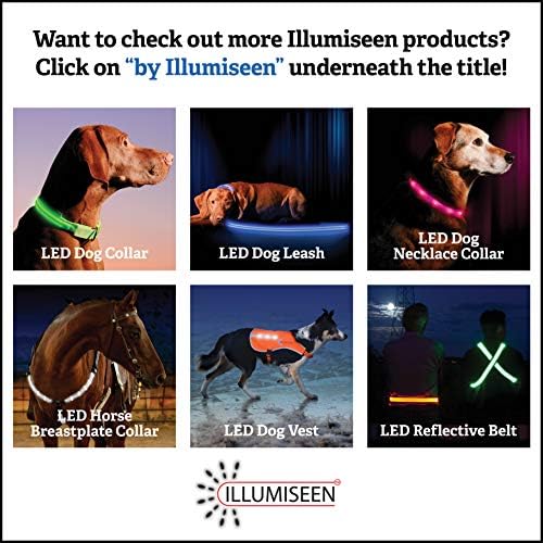 צווארון שרשרת כלבים LED - לולאה נטענת USB - זמין ב 6 צבעים - הופך את הכלב שלך לגלוי, בטוח ונראה