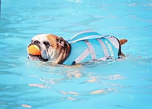 איצ ' ו כלב מעילי הצלה, כלב חיים אפוד לשחייה, כלב שחייה אפוד לכלבים בינוניים צרפתית אנגלית בולדוג
