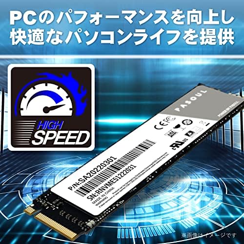 Pasoul SSD 256GB NVME M.2 2280 PCIE GEN 3.0 X2 3D TLC חיסכון בכוח עד 2000MB/S רושם עד 1200MB PAMNVMEM2-256