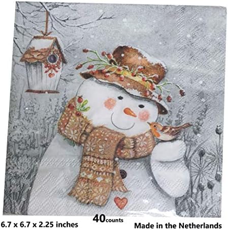 20-CT 13x13 חג ההודיה מפיות שלג מפיות מפיות נפילות מפיות חג ההודיה מפיות מפיות נפילות נייר נייר