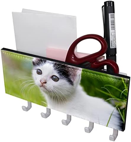 קטן חתול יושב על דשא מתלה ארגונית עם 5 ווי קיר אמבטיה מטבח מדף מדף רב תכליתי אחסון מדף