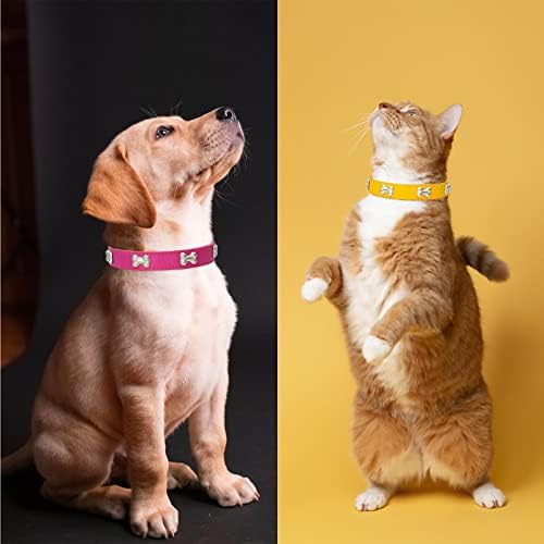 צווארוני מזהה גור -12 צבעים צווארוני גורים מצליחים זיהוי המלטה זיהוי עור צווארוני כלבים קטנים - עור צווארון לחיות