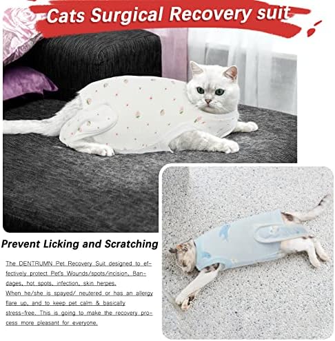 דנטרון חתול ניתוח אנטי ליקוק עיקור התאוששות חליפה, חתול קטן כלב קונוס דואר צווארון אלטרנטיבי התאוששות חולצה