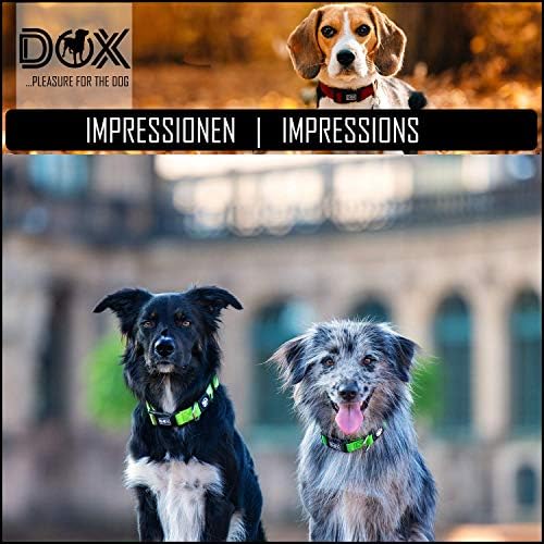 צווארון DDOXX AIRMESH כלבים - כלבי צווארונים חזקים ומתכווננים - M