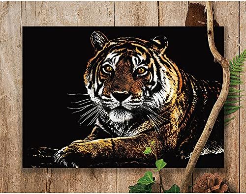 Miastar Scratch Art Animal Animal נייר ציור קשת, נייר סכל יצירתי מגרד ארט צעצועים מתנה, חריטה אמנות ומלאכות