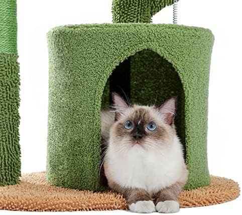 חתול עץ יציב מודרני חתול עץ מפנק מוטות ייחודי חתול עץ חתול צעצועי חתול עצים מקורה חתולי חתולים קטן חתול עץ