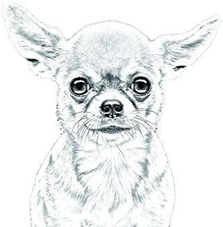 צ ' יוואווה, מצבה סגלגלה מאריחי קרמיקה עם תמונה של כלב