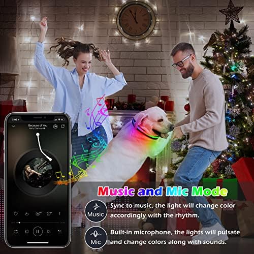 מוטובלין מדליק צווארון כלבים, אפליקציית Bluetooth ריבוי צבעי RGB צווארון כלבים LED, USB נטענת אור כלבים